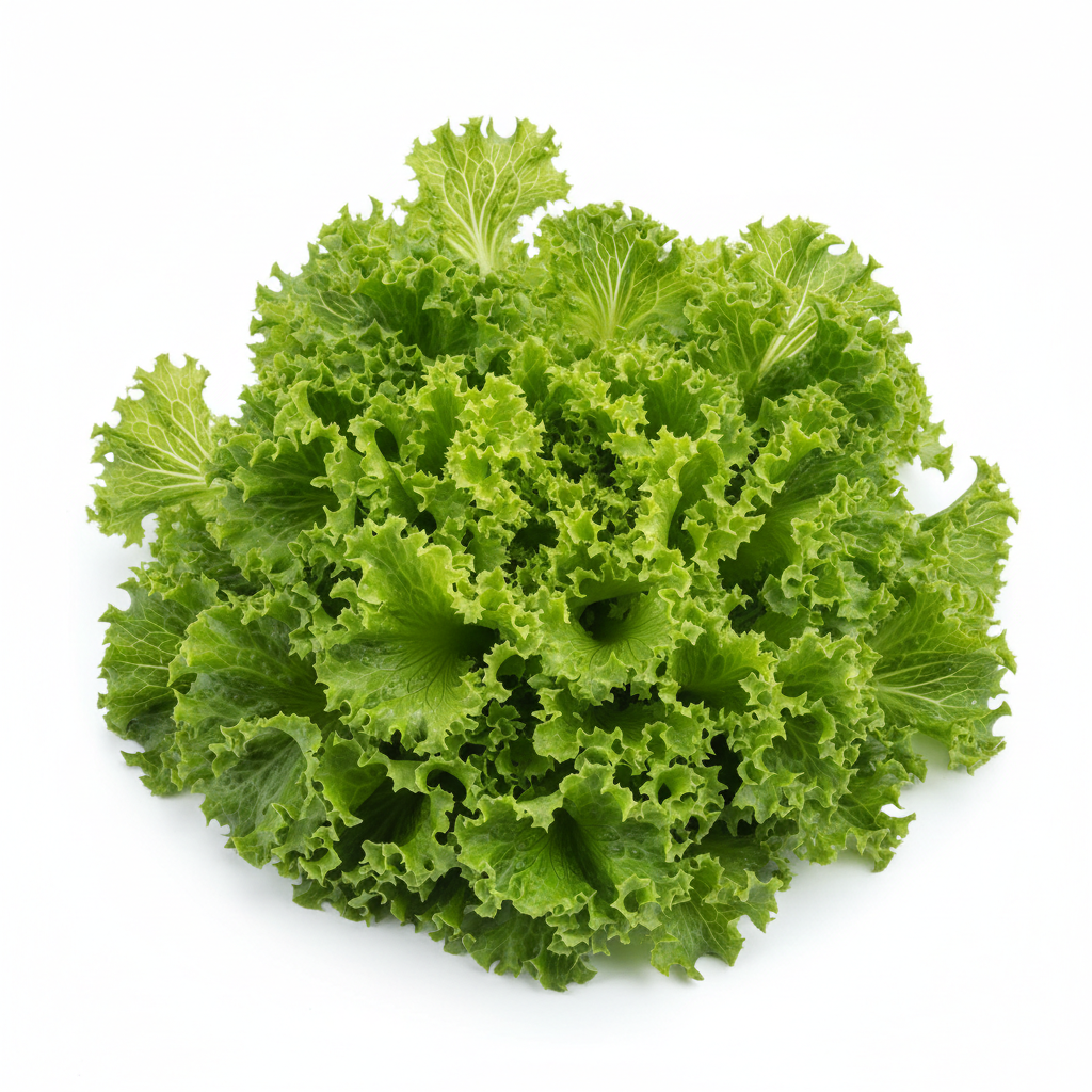 Selada