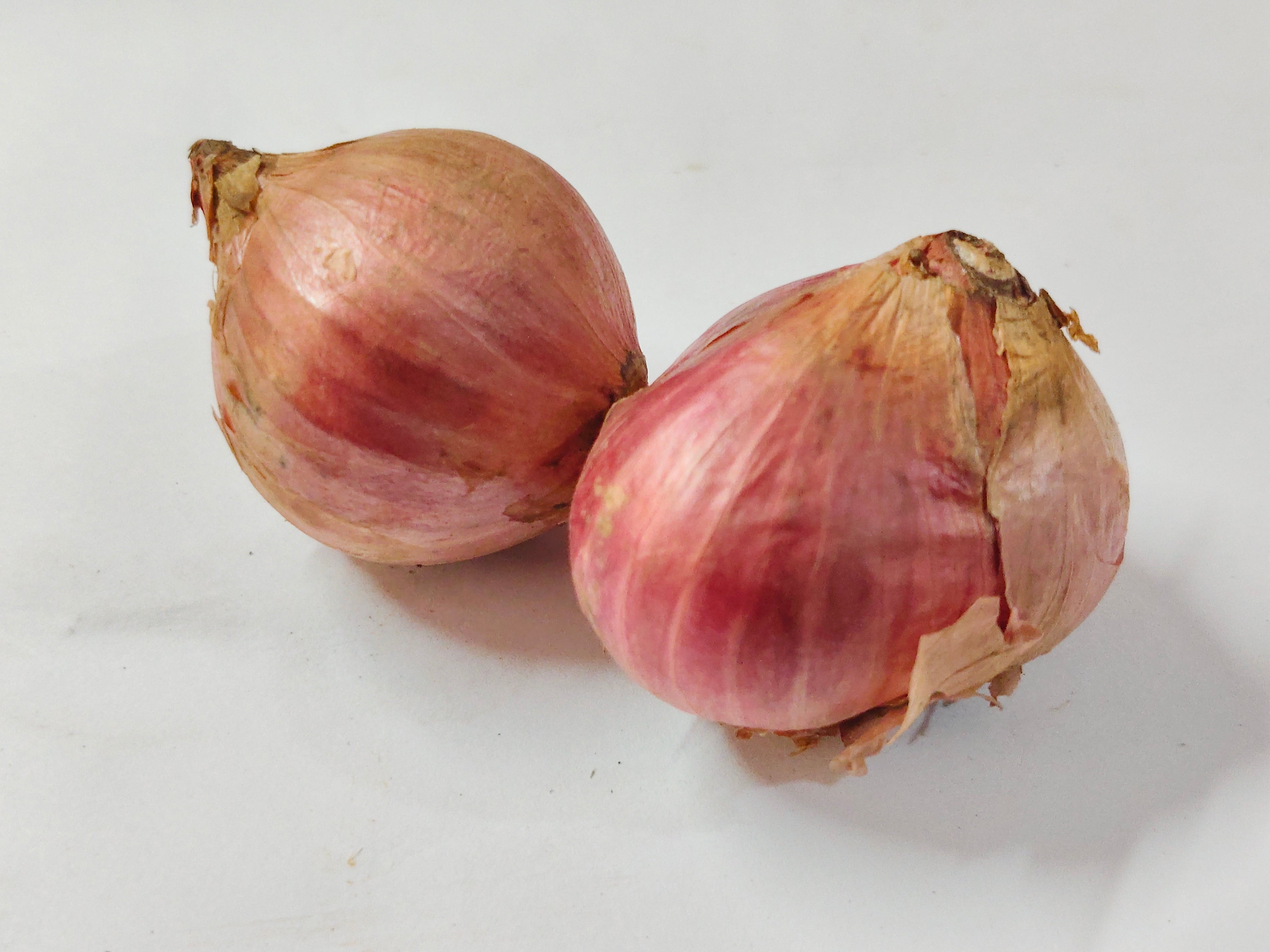 Bawang Merah Jumbo